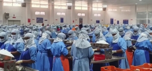 American ‘whistleblower’ files complaint against India shrimp processing plant