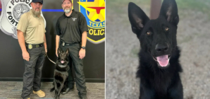 Texas shelter dog becomes impressive police K-9 combating fentanyl crisiss