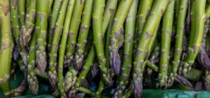 Why fast-growing asparagus is disappearing in California farming