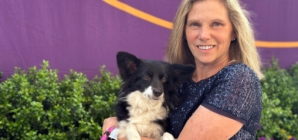 Westminster dog show agility competition sees first mixed-breed winner