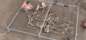 Archaeologists Uncover ‘Astonishing’ Horse Burials From 2,000 Years Ago
