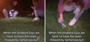 Landlord Demands Tenants Must Mow Lawn, Take Matters Into Their Own Hands