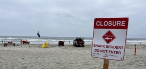 ‘Shark!’ Swimmers race to save bleeding man off California beach