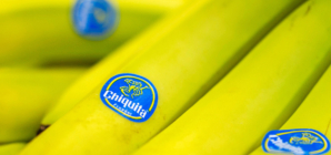 Chiquita must pay $38.3m to families of Colombian men killed by paramilitary groups, Florida jury says