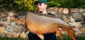 Connecticut angler reels in gigantic common carp while fishing at lake