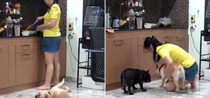 Dog owner, in shocking moment, helps choking pet as doctor gives Heimlich tips
