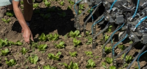 Are robots the answer to harmful agricultural herbicides?