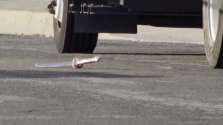 L.A. woman who allegedly used sword to kill her wife is arrested