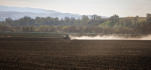 Valley fever strikes attendees of California music festival