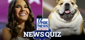 Fox News Digital’s News Quiz: July 19, 2024
