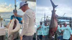 Alabama fishing team reels in nearly 500-pound bull shark, sets new record