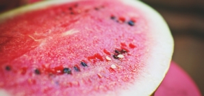 Watermelon Season Starts Early, Booming Exports Ahead