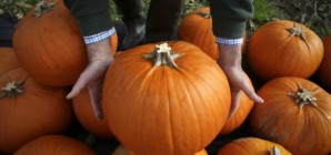 Pumpkin spice season kicks off earlier each year. Here’s a look at the history of America’s enduring love for the pie-inspired flavor