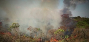 Record number of fires rage across South America