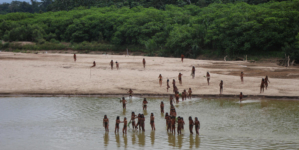 Reclusive tribe armed with bows and arrows kills loggers allegedly encroaching on their land in Peru, group says