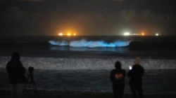 Bioluminescence electrifying waves across Southern California