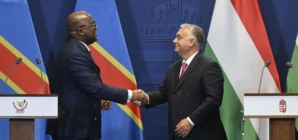 Comprehensive Cooperation Program to be Launched with Congo