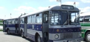 130 Ikarus Buses Await Lovers of Vehicle Rarities in Budapest