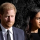 Meghan Markle got ‘it all wrong,’ Prince Harry’s ‘a lamb to the slaughter’: author