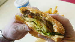 Cheeseburger Recall Issued As BrucePac Listeria Warning Widens