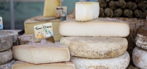 Increasing Interest in Cheese Production Fuels Dairy Sector Growth