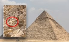 WATCH: Daring dog spotted on top of Egypt’s Great Pyramid makes expert descent as onlookers gaze in amazement