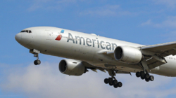 American Airlines adds oat milk creamer to menu after PETA campaign