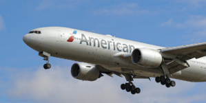 American Airlines adds oat milk creamer to menu after PETA campaign