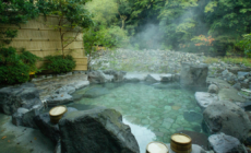 First Japanese “onsen,” bath house where many patrons relax naked together in mineral-rich water, opening in U.S.