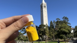 This powder removes as much CO2 from the air as a tree