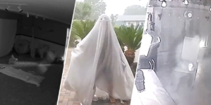 Ring cameras conduct ‘Great Ghost Search’ video competition for $100,000 cash prize just in time for Halloween