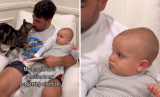 Baby’s Reaction to Cat Stealing Attention During Story Time: ‘Ruining It’