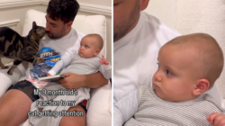 Baby’s Reaction to Cat Stealing Attention During Story Time: ‘Ruining It’