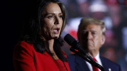 Tulsi Gabbard Turning Republican Is ‘Surprise’ to Donald Trump