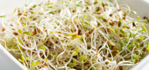 Sprouts Recall Issued Over Fear of Listeria Contamination