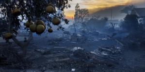 2 weeks after they inherited a home, the Mountain fire happened