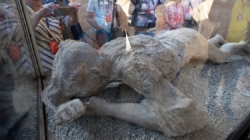 Pompeii DNA evidence contradicts long-held assumptions about victims buried in ash