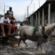 Hurricane Rafael leaves Cuba reeling after hitting as Category 3 storm