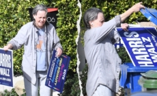 Kamala Harris supporter Sally Field trashes campaign sign after Donald Trump victory