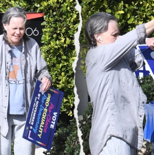 Kamala Harris supporter Sally Field trashes campaign sign after Donald Trump victory