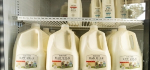 All raw milk from California farm to be pulled due to bird flu