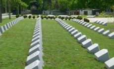 Remains of over 1,200 World War Soldiers Exhumed this Year