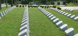 Remains of over 1,200 World War Soldiers Exhumed this Year