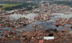 20 years after a devastating tsunami, a survivor celebrates what the disaster has given him