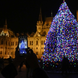 19 Magnificent Trees Across the Counties