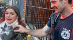 Woman Reunited With Cat After Learning Apartment Was on Fire