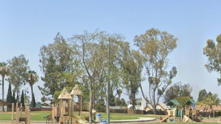 Three dogs, believed to be ‘XL bullies,’ fatally attack owner in San Diego park