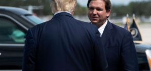 DeSantis May Be Trump’s Backup Plan as GOP Senators Balk at Pete Hegseth