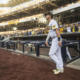 Padres, Rays Fan Favorite Wil Myers Announces Sudden Retirement At 34