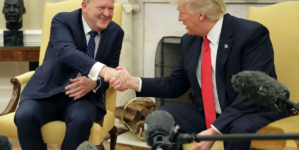 Fact Check: Did Denmark Offer to Buy United States?